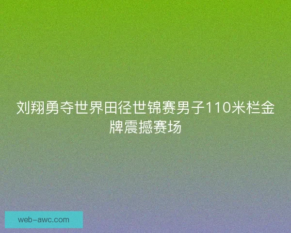 刘翔勇夺世界田径世锦赛男子110米栏金牌震撼赛场
